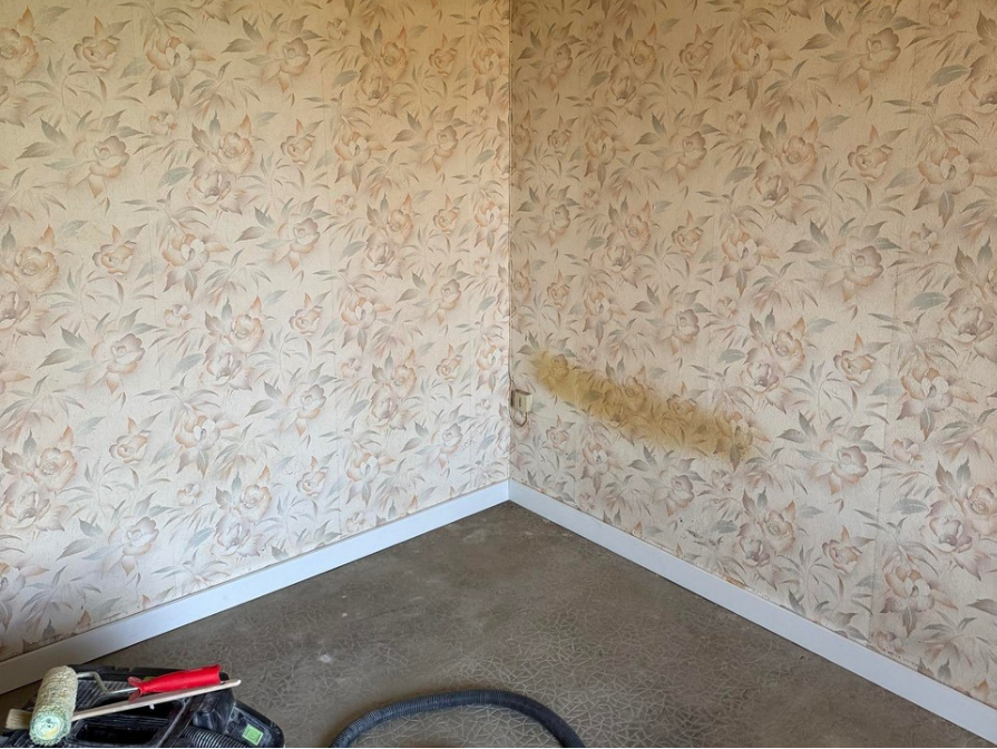 before-image